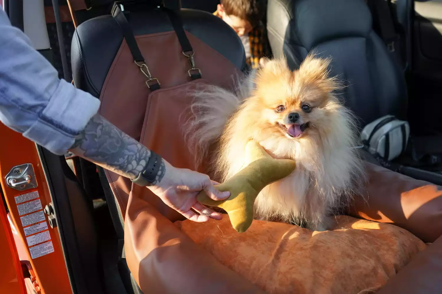 GMC Terrain Dog Car Seat for Duck Tolling Retrievers